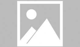 最新爆料车型大全,科技与时尚的完美融合