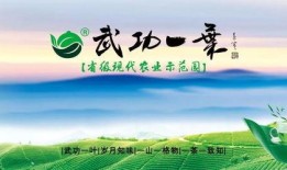 江西凤凰热点爆料新闻最新,最新爆料揭示惊人真相！