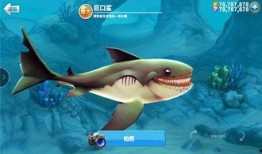 饥饿鲨最新爆料,揭秘深海巨兽的神秘生活